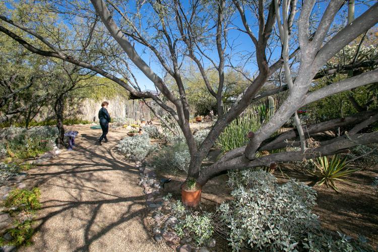 Baron home landscape