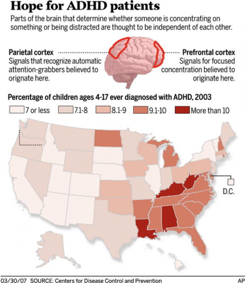 Attention-deficit disorders closer to specific treatments  