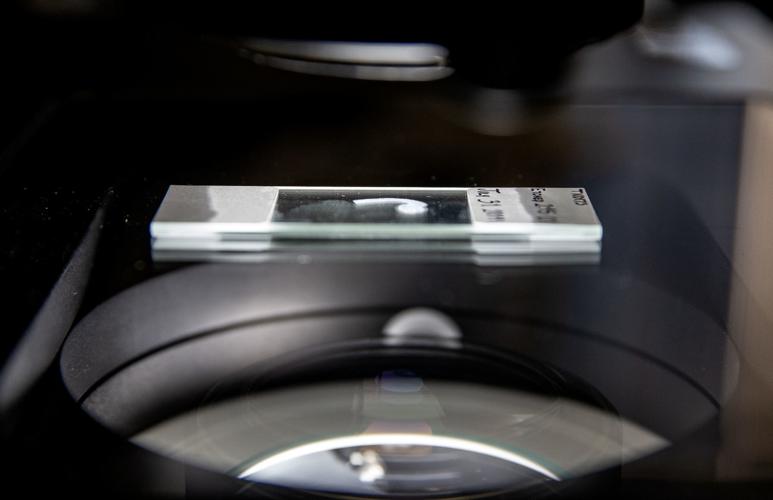 Using Clam Shells to Collect Climate Data