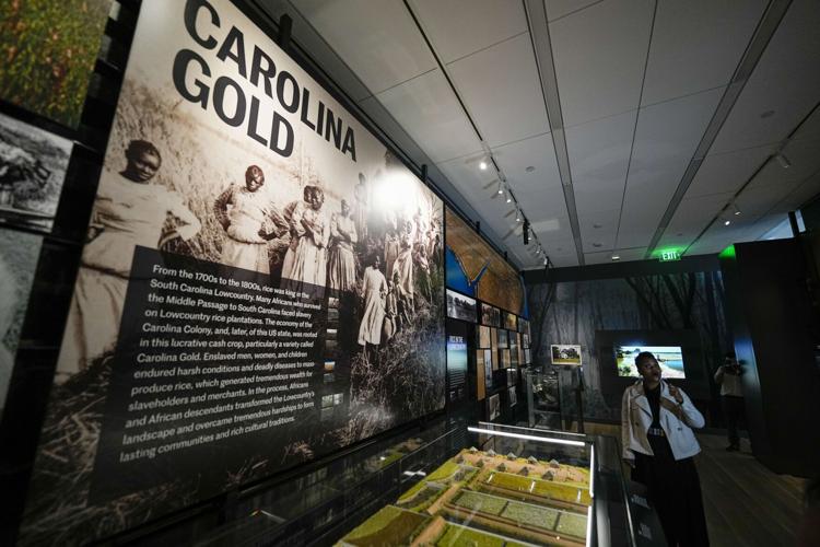 African American Museum Opening