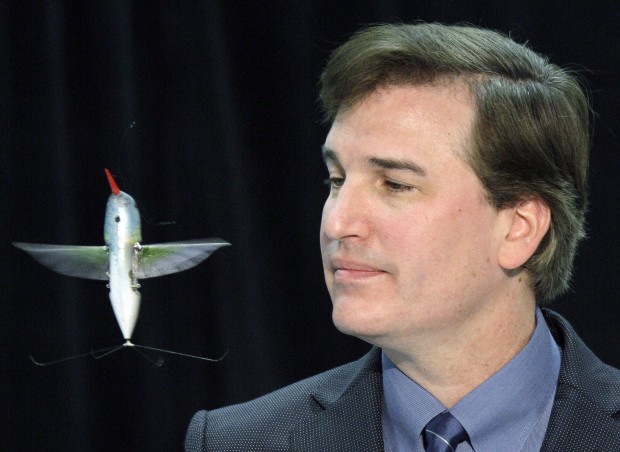 That curious bird or insect just might be a spy drone   