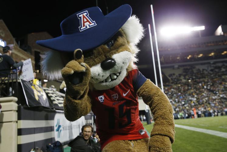 Wilbur the Wildcat