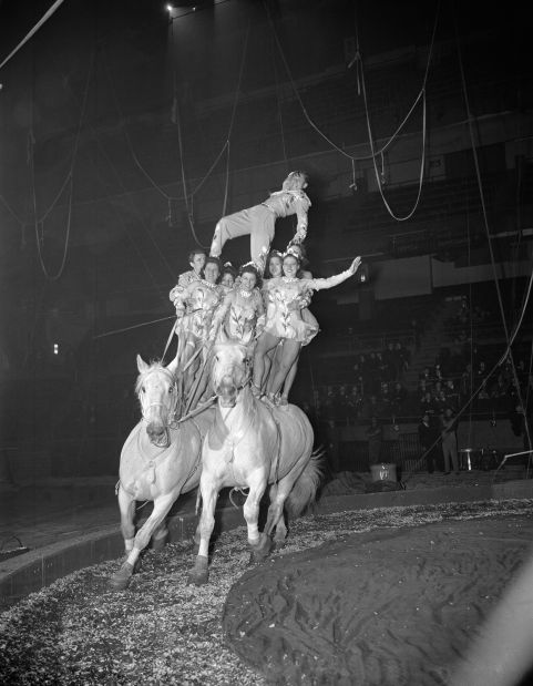 'The Greatest Show on Earth'