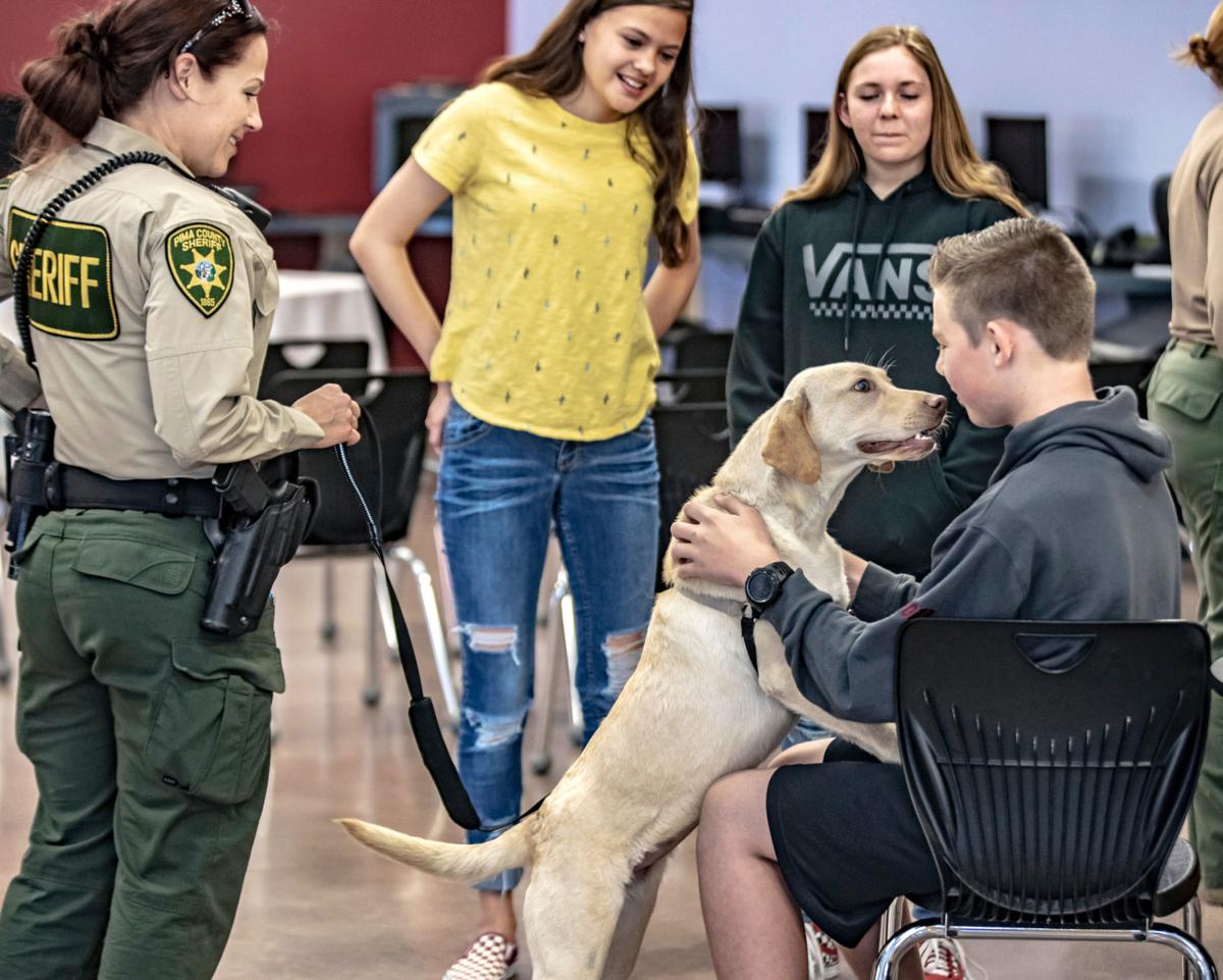 PCSO Therapy Dogs