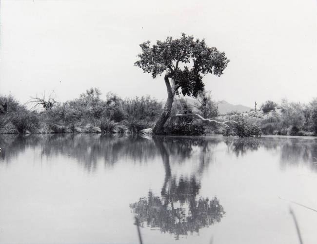 Quitobaquito Springs, 1962