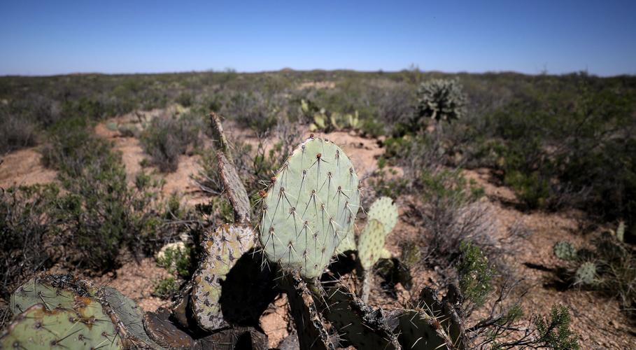 Wind farm, Pinal County