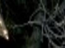 Tohono Chul Christmas Lights 2022 Tohono Chul's Holiday Nights Attracts Thousands | Northwest | Tucson.com