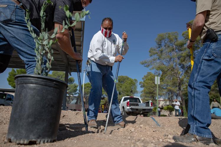 Un millón de árboles para Tucsón (LE)