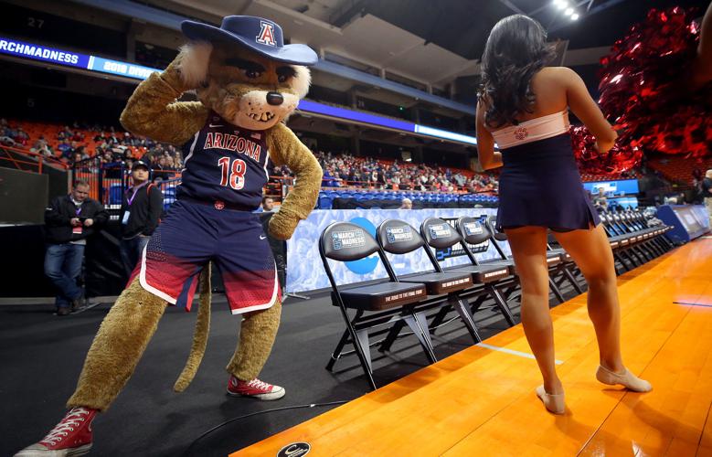 Arizona Wildcats in NCAA