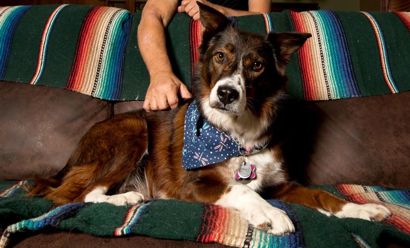 Gene Schrieffer and Copper