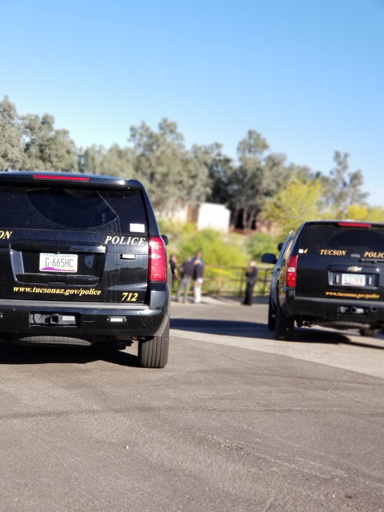 Tucson Police Investigating Homicide After Body Is Found In Pantano Wash