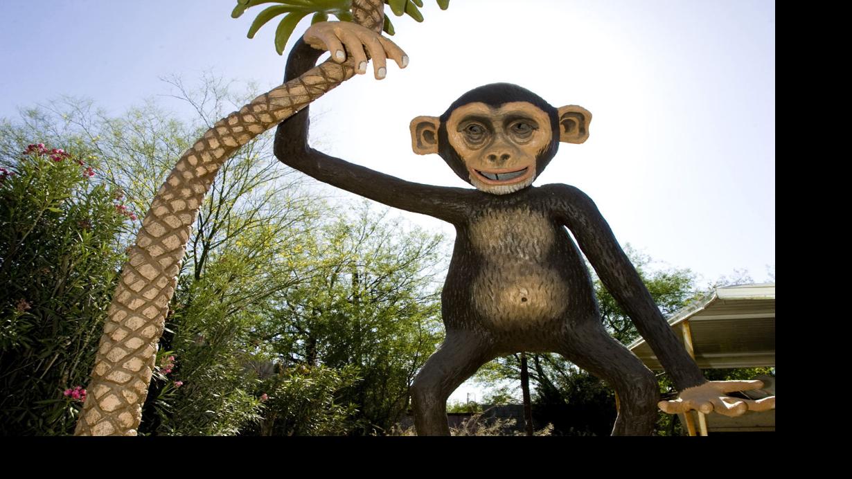 Magic Carpet Golf | Local news | tucson.com