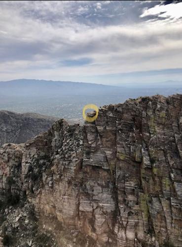 Dog located in Sabino Canyon