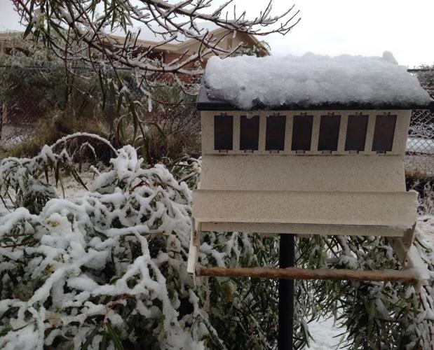 Star reader snow photos