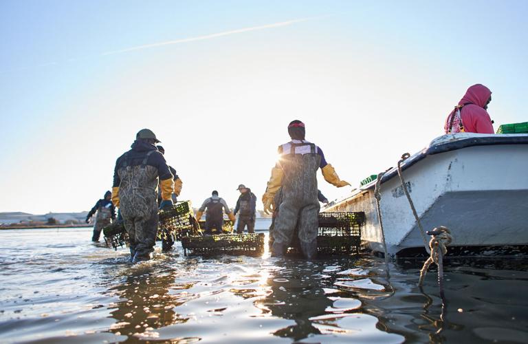 Cherrystone Aqua-Farms