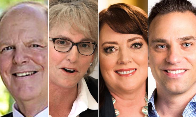 2018 candidates for U.S. Congress, Arizona District 1