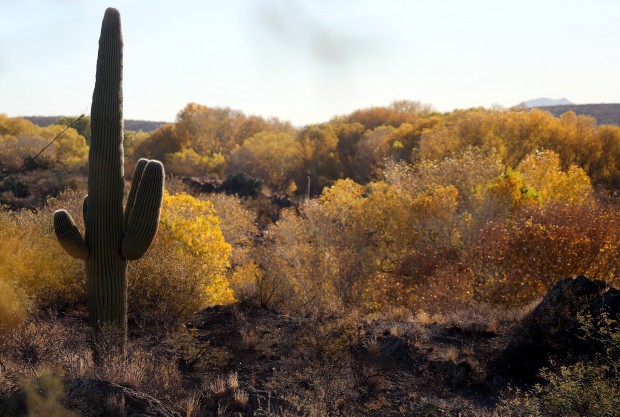 Southeast Arizona Loop Trip