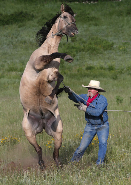 Utah Daily Life