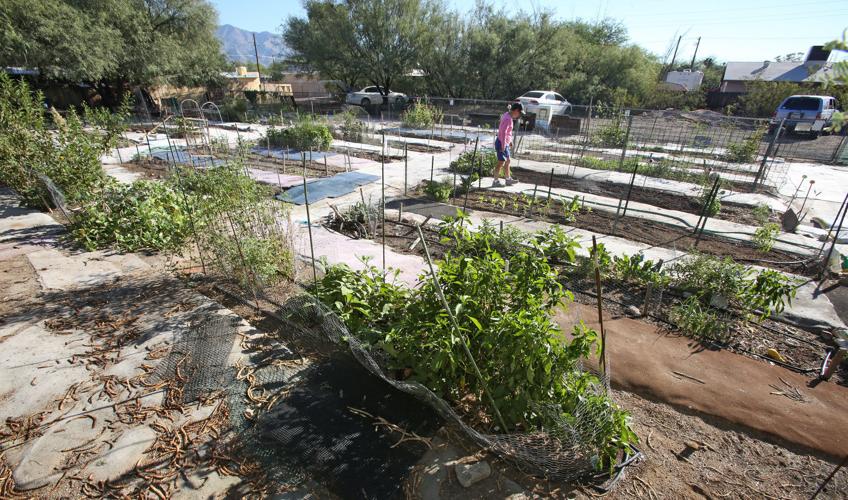 Community Gardens of Tucson