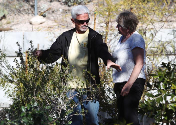 Sundrea Landscape Center