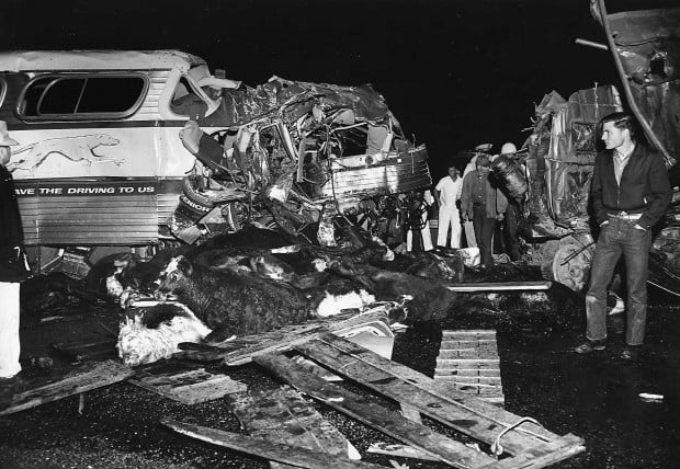 50 years ago, horrific collision killed 9 - cows fell all around