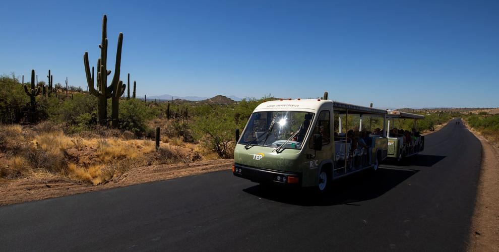 Sabino Canyon