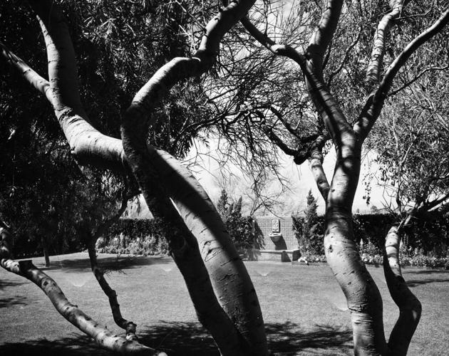 Harlow landscaping blueprints