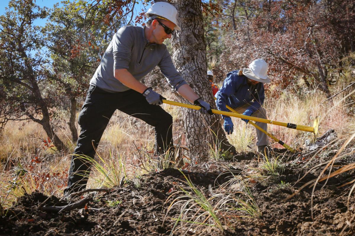 Butterfly Trail, Bighorn Fire, 2021