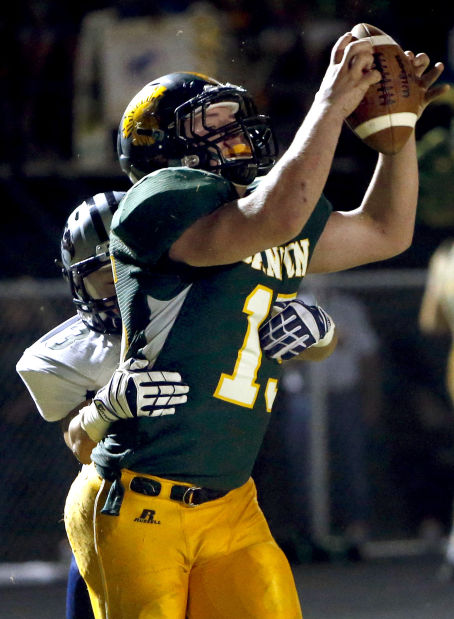 Ironwood Ridge 42, Canyon del Oro 14