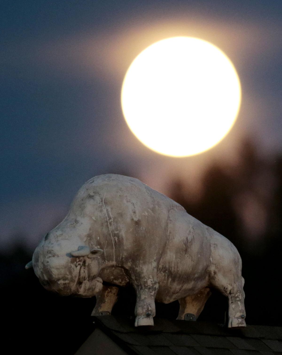 Supermoon around the world