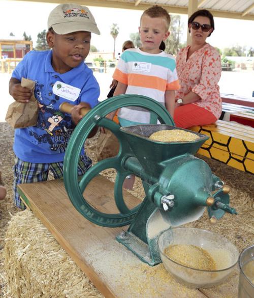 Tucson Village Farm teaches kids, families advantage of natural, healthy eating