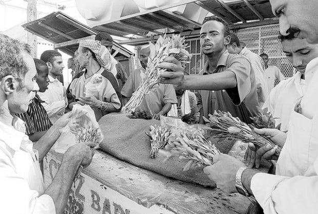 In destitute Djibouti, people spend inordinate sums on leafy stimulant  