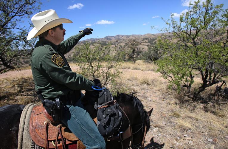 U.S. Border Patrol horse unit