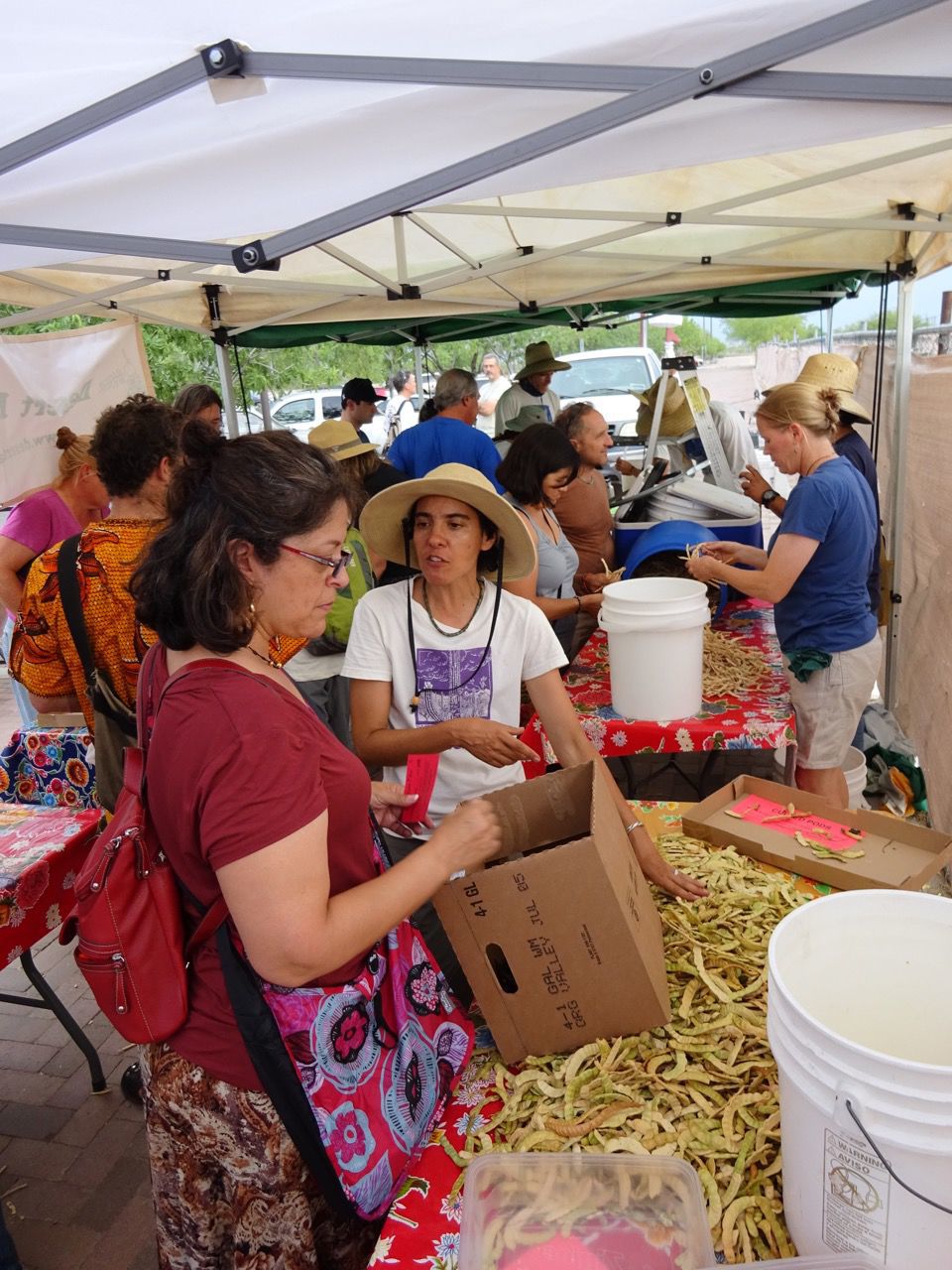 Where you can mill your mesquite pods into flour Food & Cooking