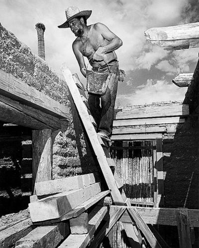 Bonnie Henry: Ted DeGrazia: His life and loves  