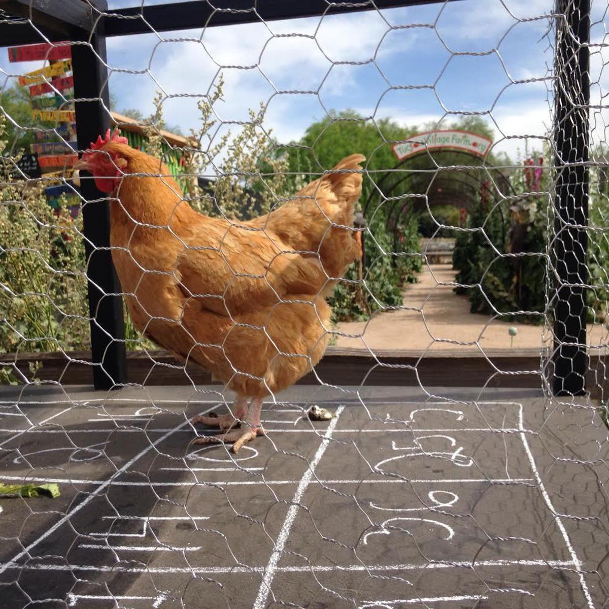 Poo bingo ebay Poo bingo ebay