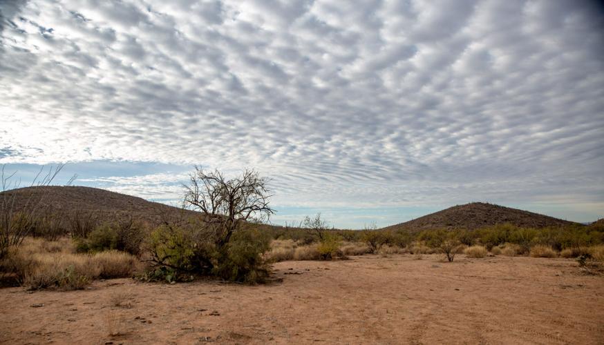 Baboquivari Mountains (le)