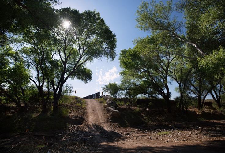 San Pedro Riparian National Conservation Area