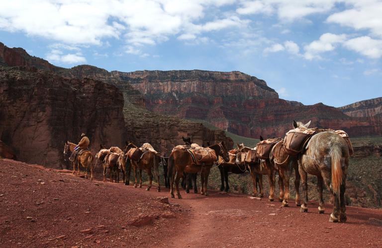 Grand Canyon National Park