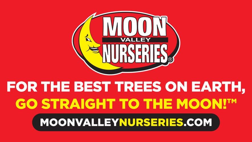 Moon Valley Nurseries_Sponsored_This Is Tucson