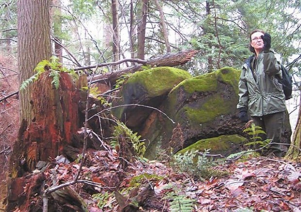 Get a taste of Canada on Ohio's Little Mountain  