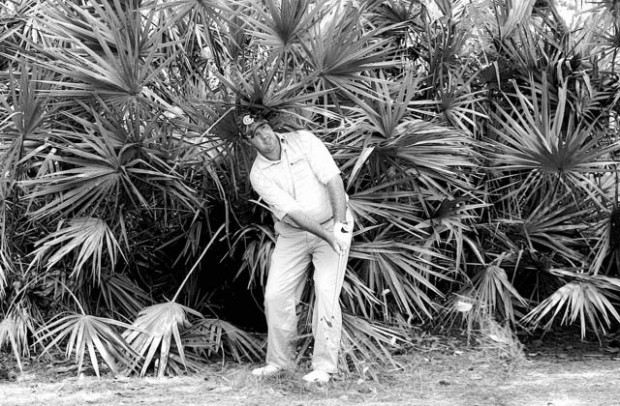 Little-known Goydos leads by one  