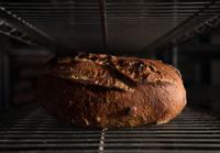 Don Guerra, Barrio Bread