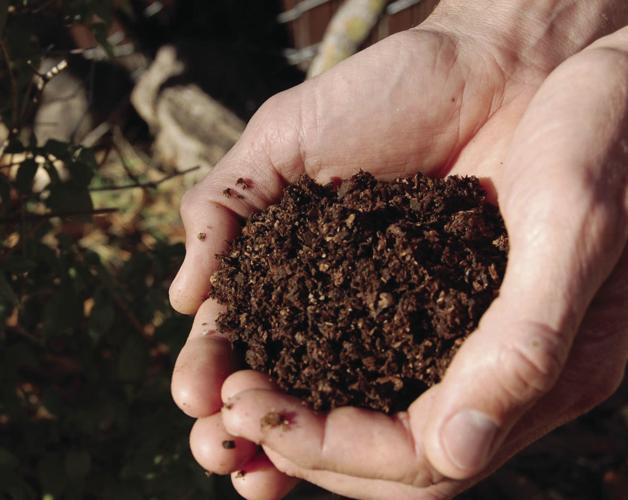 Compost From Composting Toilets