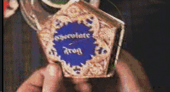 Wizards and Wildlife