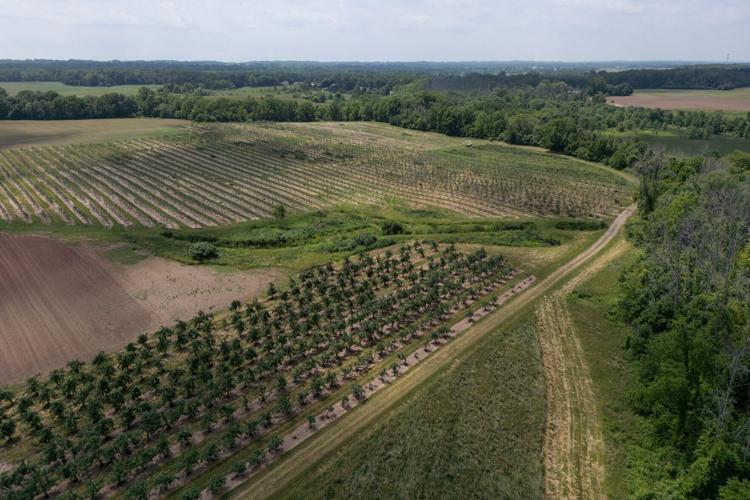 Becker Farms (copy)