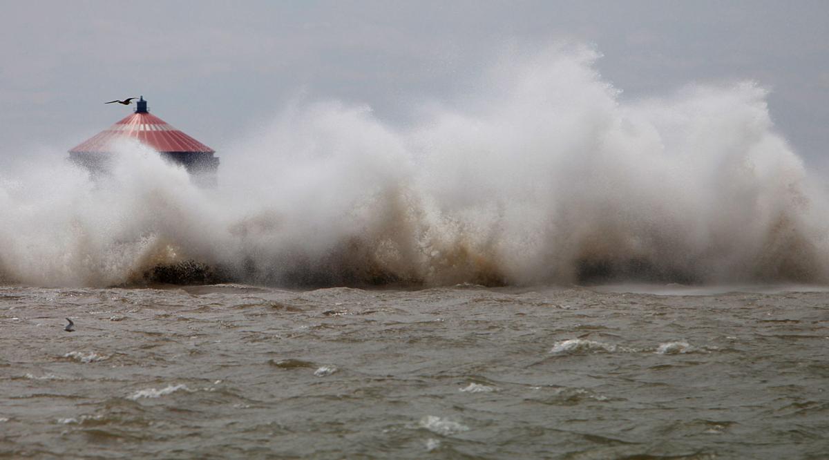local windy weather (copy)