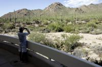 Saguaro National Park