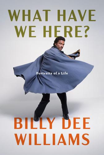 Cover of Williams' book, What Have We Here