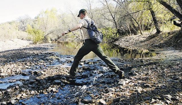 Sonoita Creek State Natural Area: Solitude  